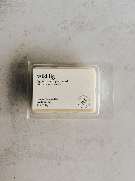 Wild Fig // soy wax melts