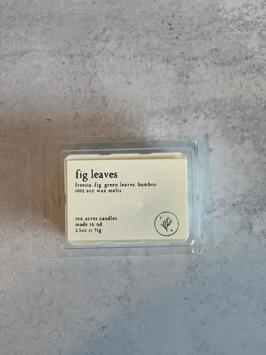 Fig Leaves // Wax Melts