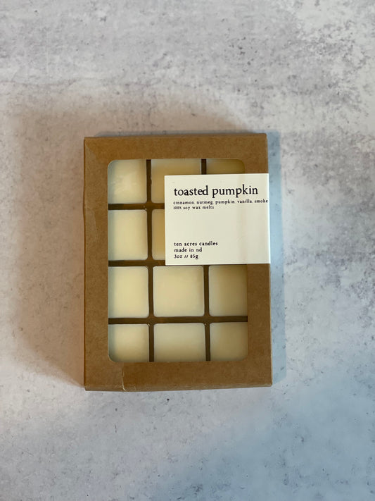 Toasted Pumpkin // Wax Melts- Imperfect