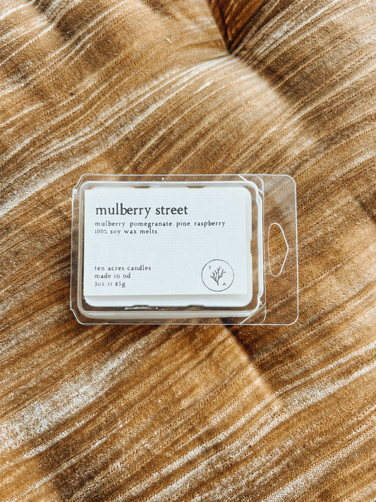 Mulberry Street // soy wax melts