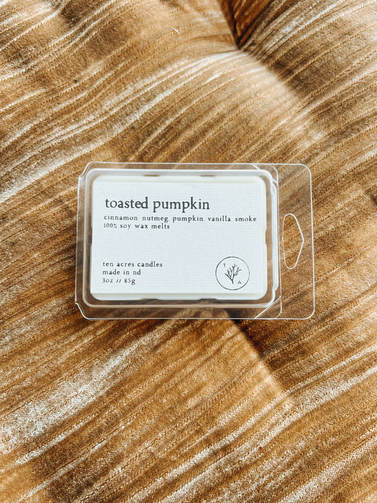 Toasted Pumpkin // soy wax melts